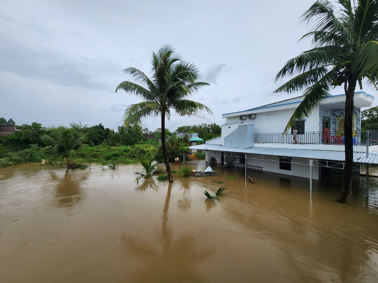 Tàu, phà đi Phú Quốc và Nam Du ngưng hoạt động- Ảnh 8.